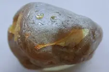 Agate-2016-07-06-Img_2714SSS.webp