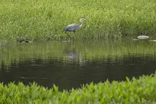 K1600_IMG_9556.webp K1600_IMG_9556.webp