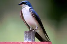 K1600_IMG_9865.webp
