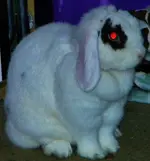 DSCN0547.webp