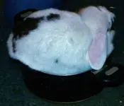 DSCN0492.webp