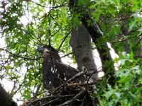 K1024_DSCN3476.webp