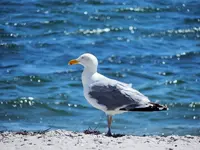 K1600_DSCN2568.webp