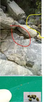sample pan.webp