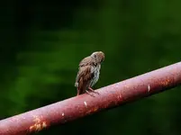 DSCN1479.webp
