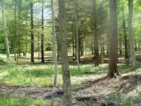 DSCF0001.webp