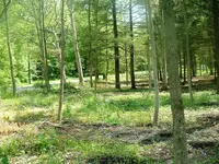 DSCF0002.webp