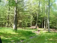 DSCF0007.webp