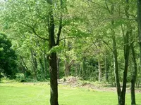DSCF0013.webp