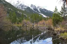 5-17c.webp