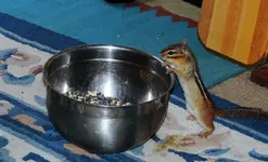 DSCN1490.webp