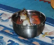 DSCN1493.webp