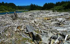 DSCN0520.webp