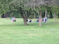 IMG_4199.webp IMG_4199.webp