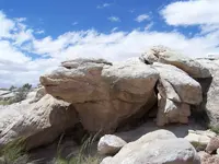 100_8051.webp