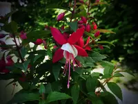 FSCN1476.webp