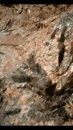 rocks 002.webp
