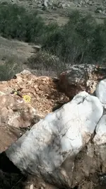 rocks 003.webp