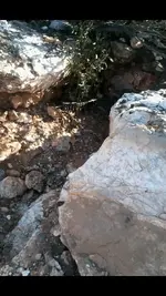 rocks 004.webp