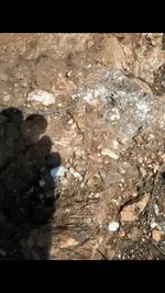 rocks 007.webp