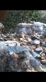 rocks 009.webp