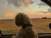 sunset 062716 7.webp
