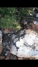 rocks 010.webp