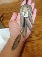 ImageUploadedByTreasureNet.com1467128885.858370.webp