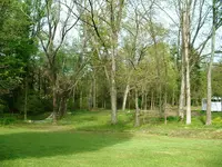 DSCF0004.webp