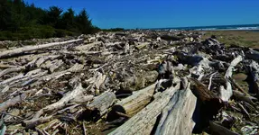 DSCN0521.webp