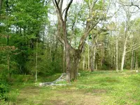 DSCF0009.webp