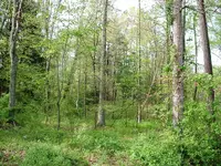DSCF0011.webp