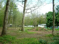 DSCF0019.webp