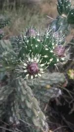 1468546758307.webp