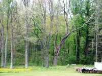 DSCF0023.webp