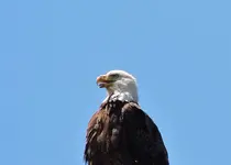 DSCN1901.webp