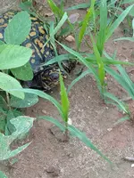 IMG_20160628_084948191.webp