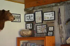 ManCave7.webp