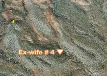 dowse.webp