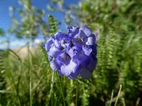070616 4.webp