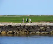 K1600_DSCN2834.webp
