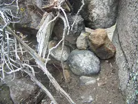 prehnite 021.webp