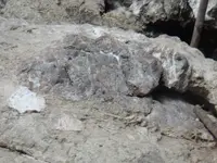 A huge turtle rock  formation.webp