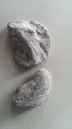 1465569301721.webp