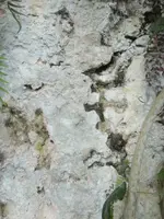 DSC08379.webp