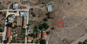 01- dlx.webp