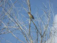 061016 3.webp