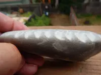 DSCN4425.webp