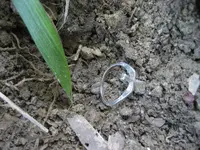 Racer 2 - 6 Pieces of Silver 011.webp