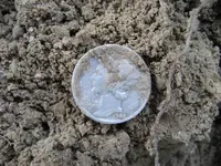Racer 2 - 6 Pieces of Silver 015.webp